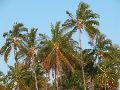 DSCN0040.JPG