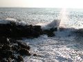 DSCN0077.JPG