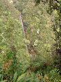 DSCN0022.JPG